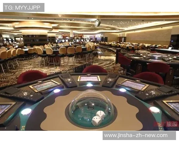 澳门金沙赌场js838-澳门金沙赌场js838，探索与体验-澳门金沙赌场js838